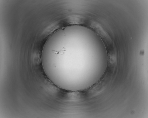 X0000097670422200803142158