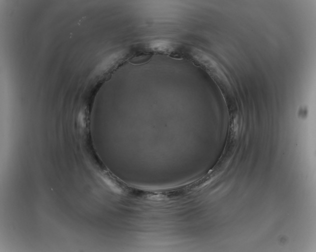 X0000097670424200803142158