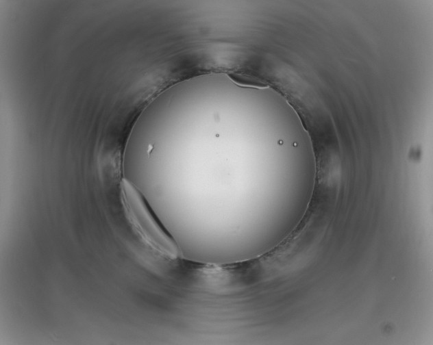 X0000097670425200803142158
