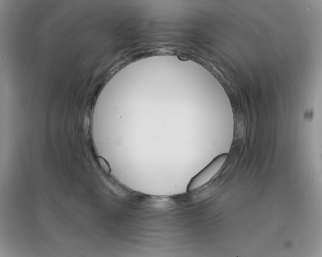 X0000097670427200803142158