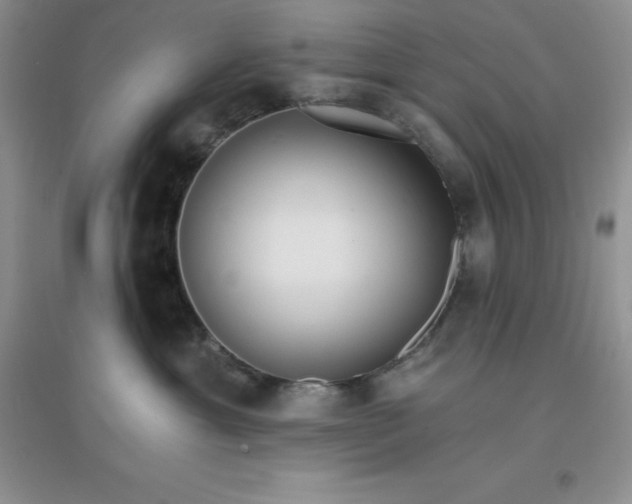 X0000097670429200803142158