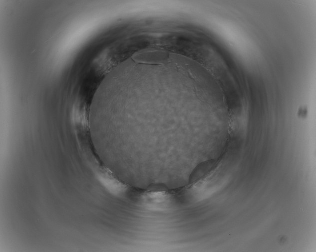 X0000097670431200803142158