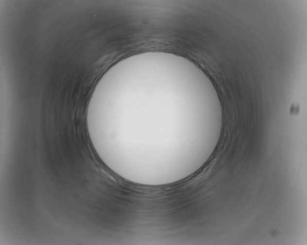 X0000097670432200803142158