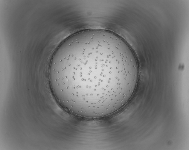 X0000097670433200803142158