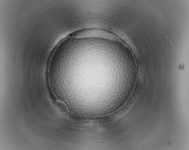 X0000097670434200803142158