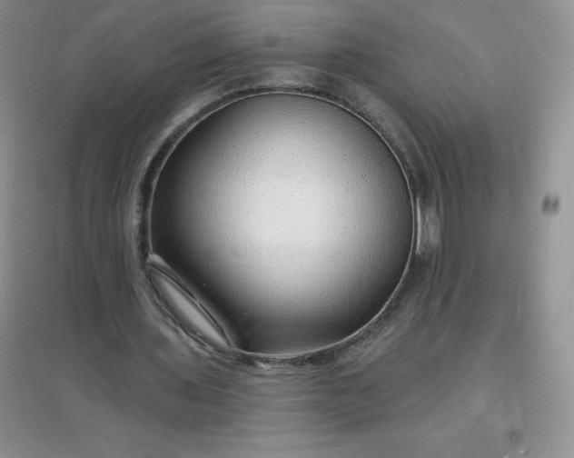 X0000097670435200803142158