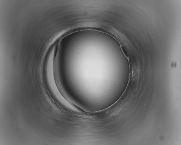 X0000097670436200803142158