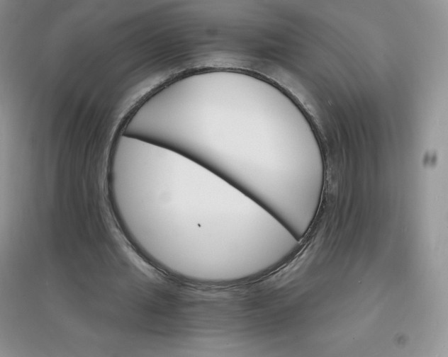 X0000097670437200803142158