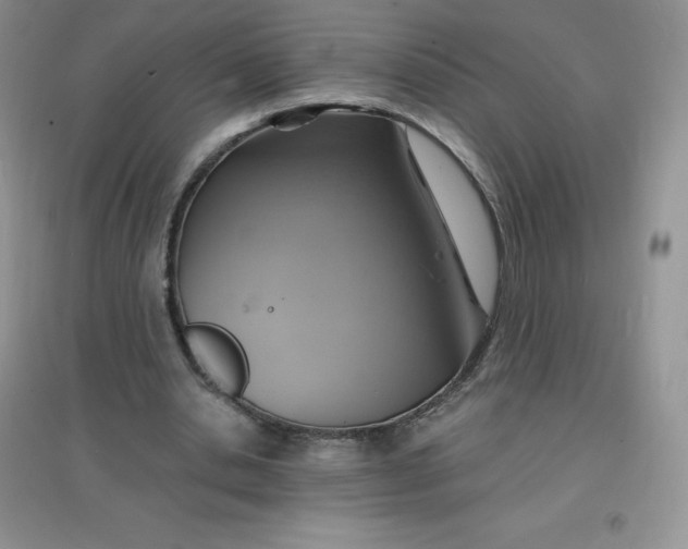 X0000097670438200803142158