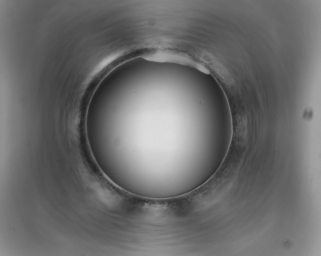 X0000097670440200803142158