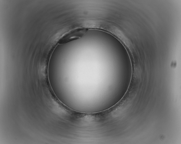 X0000097670441200803142158