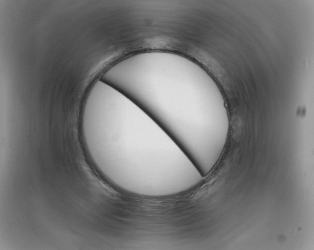 X0000097670442200803142158