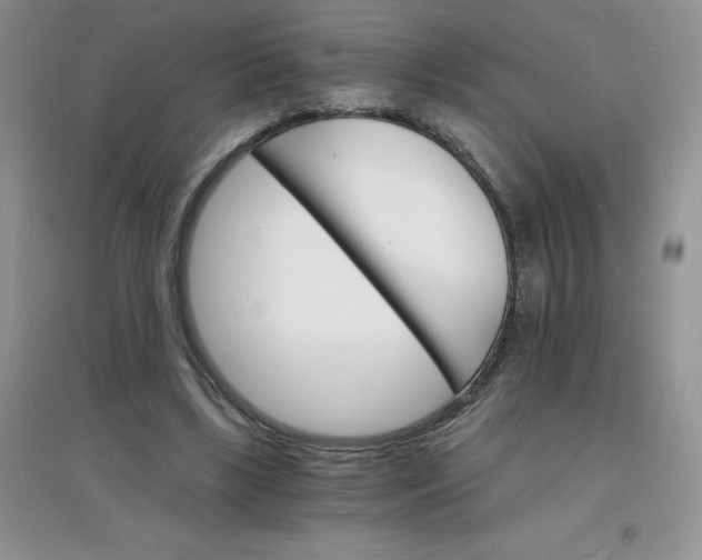X0000097670443200803142158
