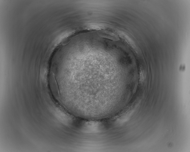 X0000097670444200803142158