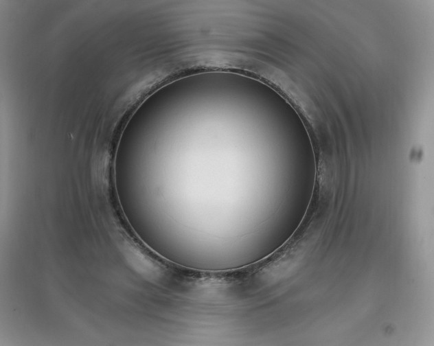 X0000097670445200803142158
