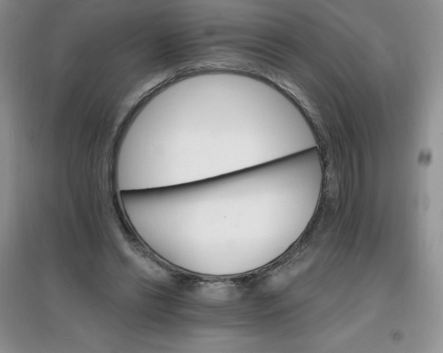 X0000097670446200803142158