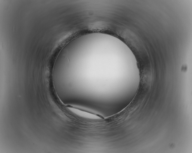 X0000097670448200803142158