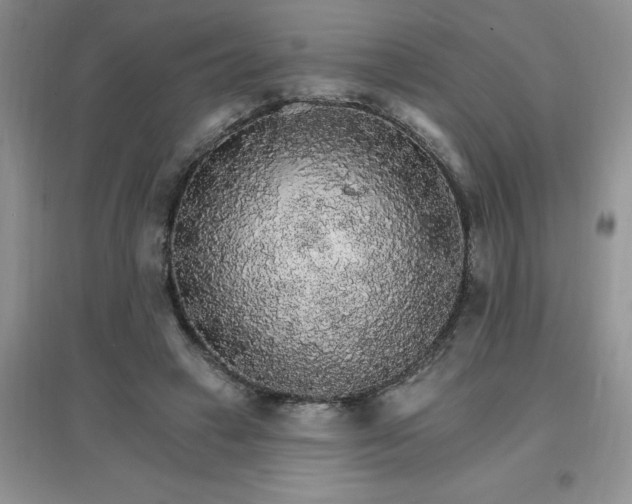 X0000097670449200803142158