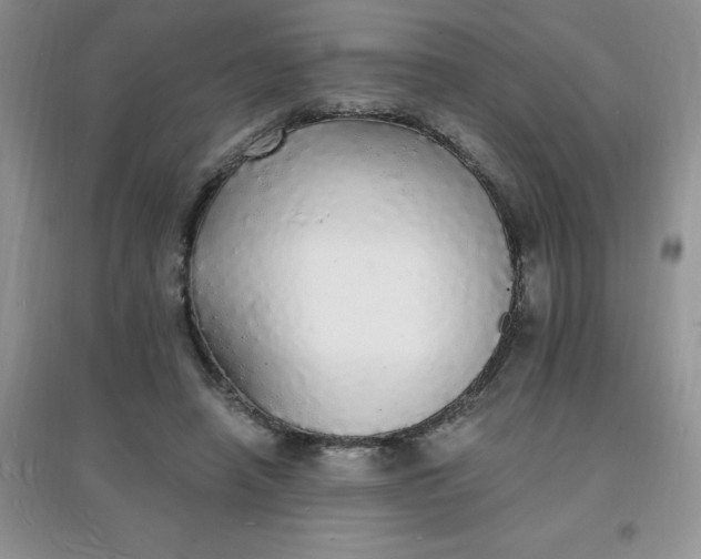 X0000097670450200803142158