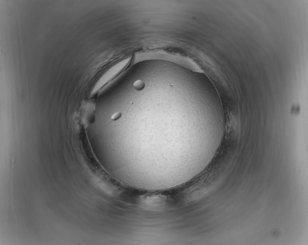 X0000097670452200803142158