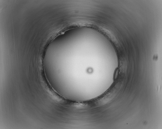 X0000097670453200803142158