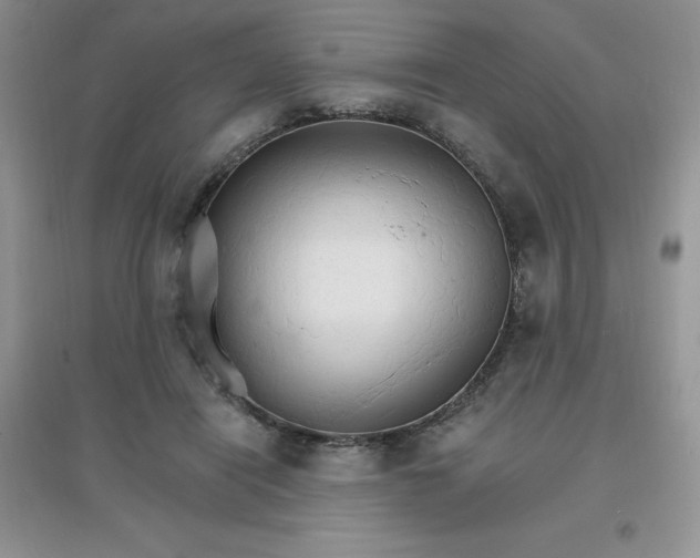 X0000097670454200803142158