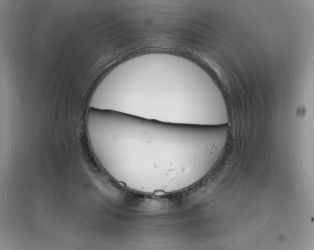 X0000097670455200803142158