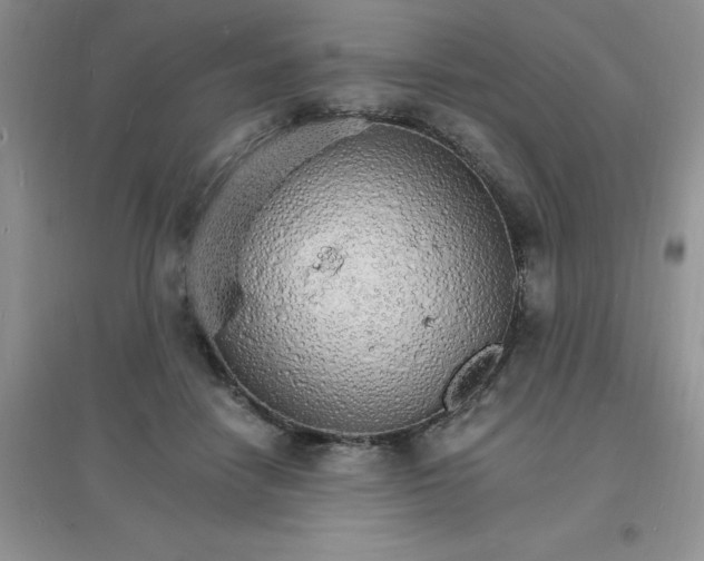 X0000097670458200803142158