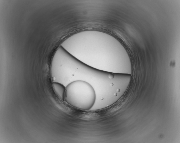 X0000097670459200803142158