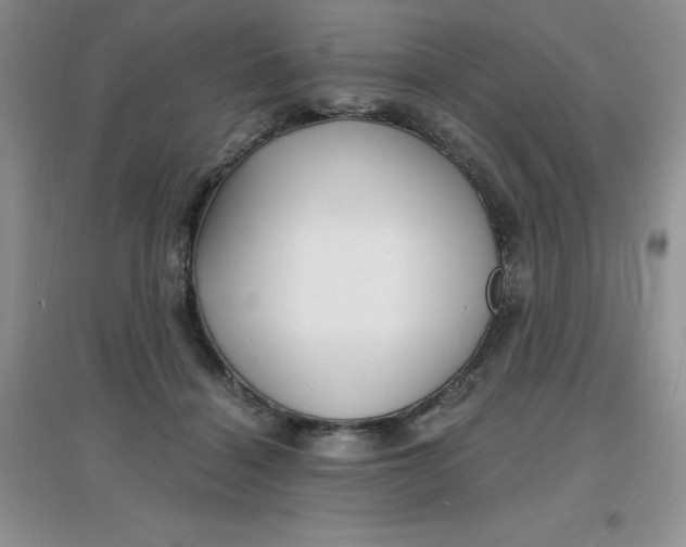 X0000097670460200803142158