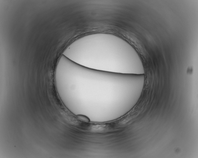 X0000097670461200803142158