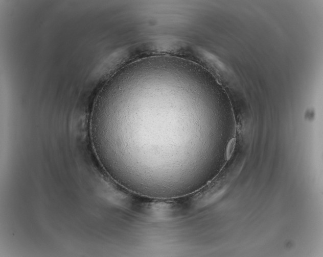 X0000097670462200803142158