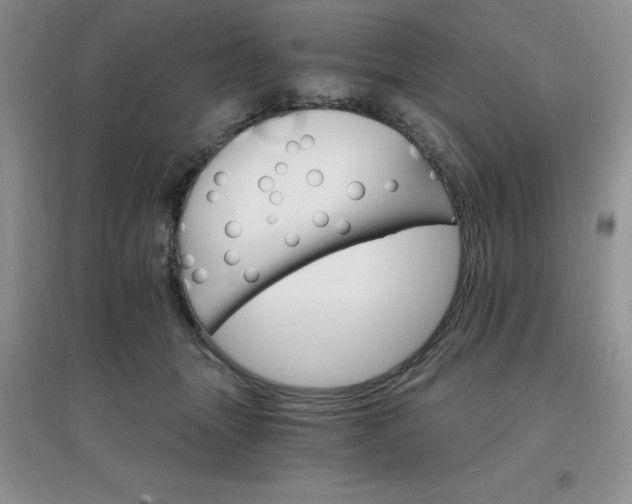 X0000097670463200803142158