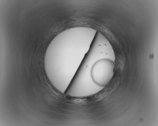 X0000097670465200803142158