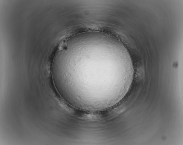 X0000097670466200803142158