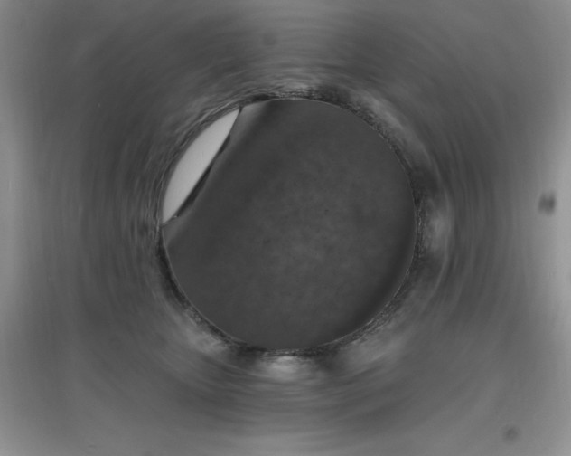 X0000097670467200803142158