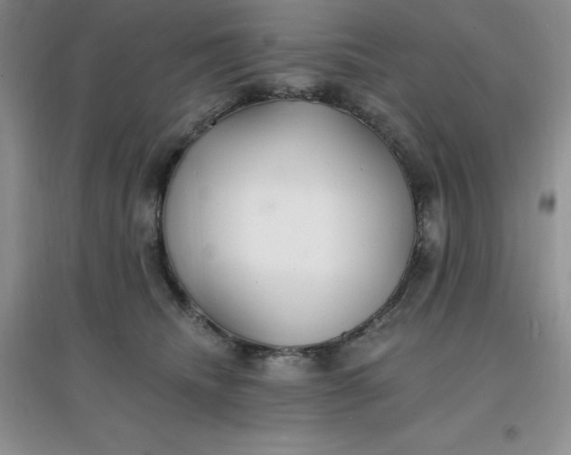 X0000097670468200803142158