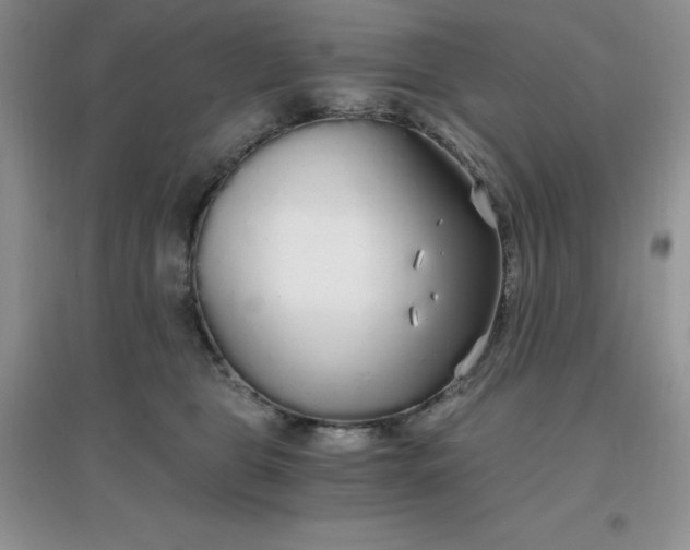 X0000097670469200803142158