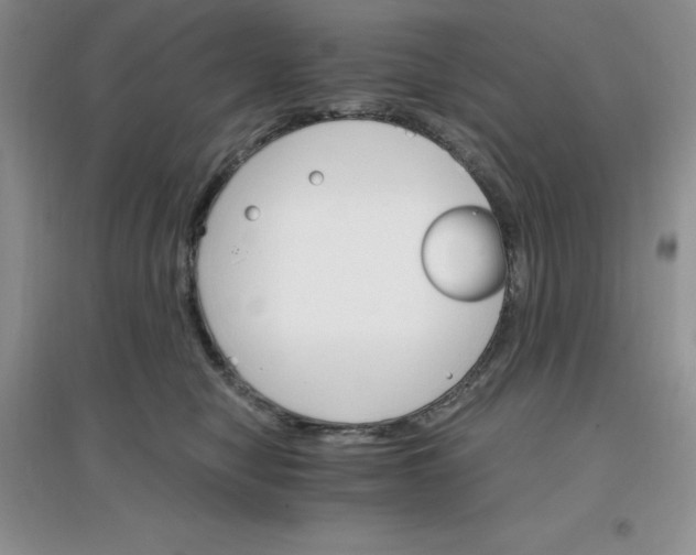 X0000097670470200803142158