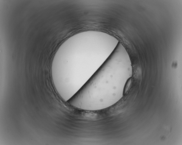 X0000097670471200803142158