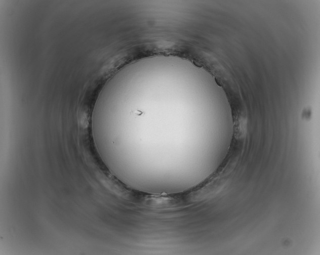 X0000097670472200803142158