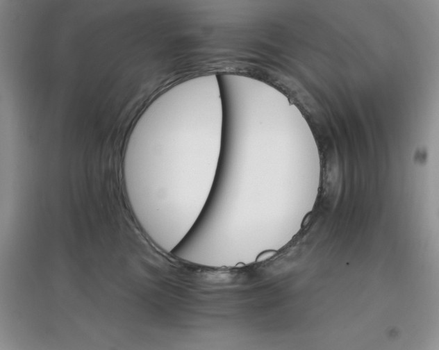 X0000097670473200803142158