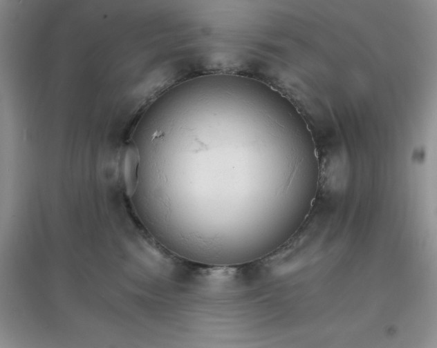 X0000097670474200803142158
