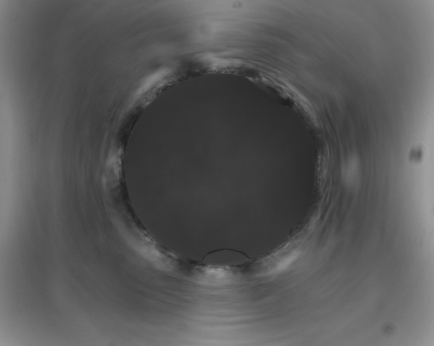 X0000097670475200803142158