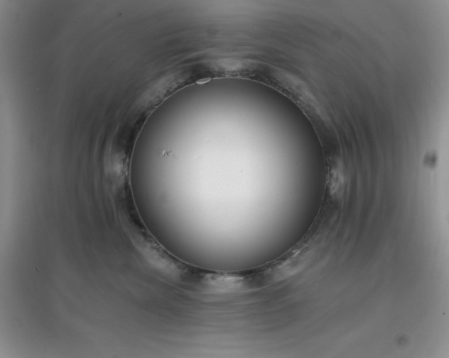 X0000097670476200803142158