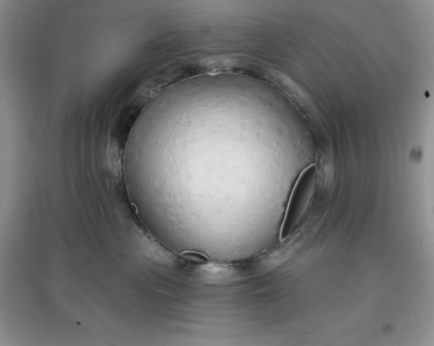 X0000097670477200803142158