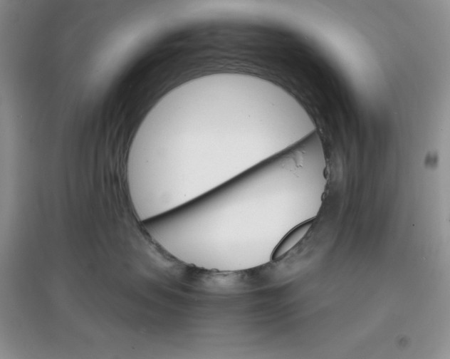 X0000097670479200803142158