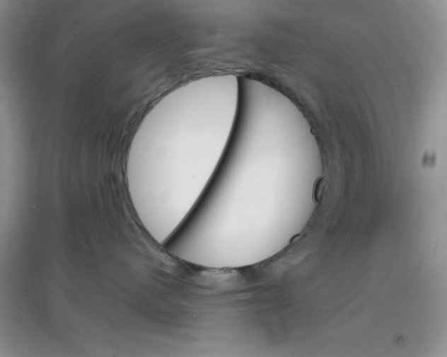 X0000097670480200803142158