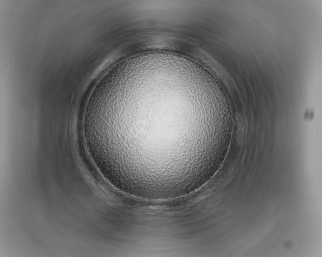 X0000097670482200803142158