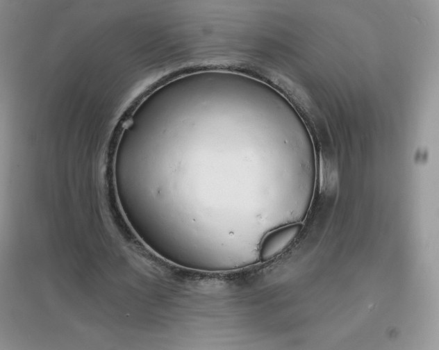 X0000097670483200803142158